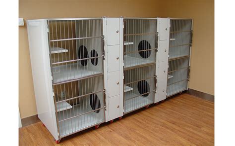 stainless steel cat enclosures|cat housing for animal shelters.